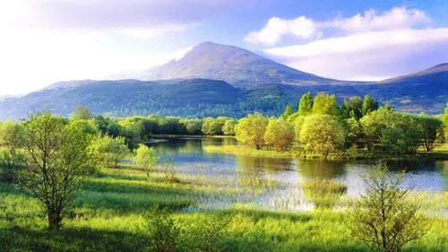 高质量信息化全自动